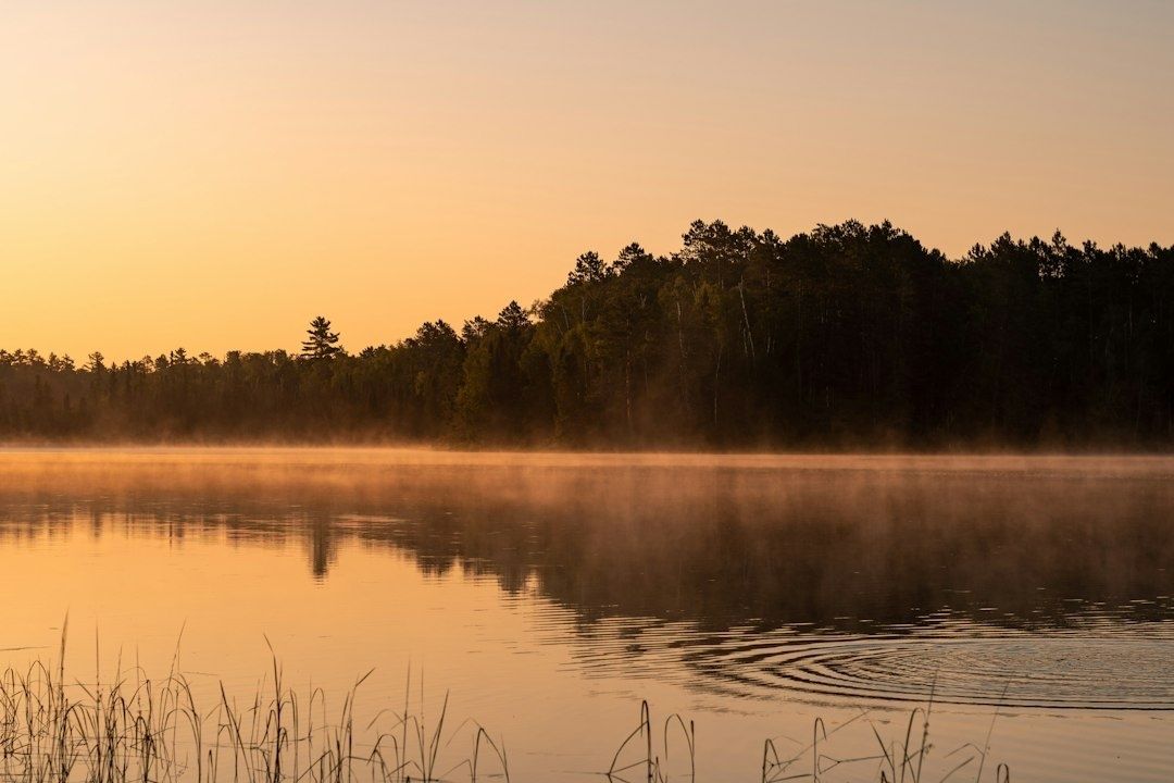 Stillen See im Morgenlicht mit Nebel, Wald und Schilf am Ufer